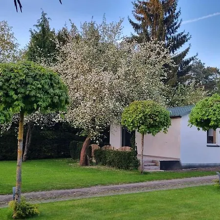 Pod Jablonia * Bydgoszcz